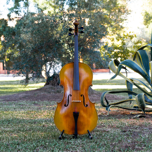 Violonchelo Mod. Gofriller / VENDIDO