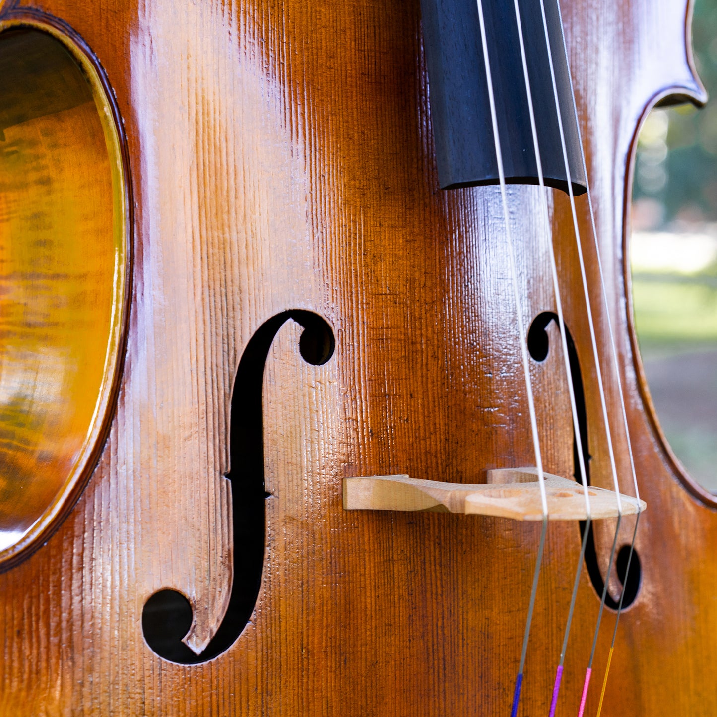 Violonchelo Mod. Gofriller / disponible