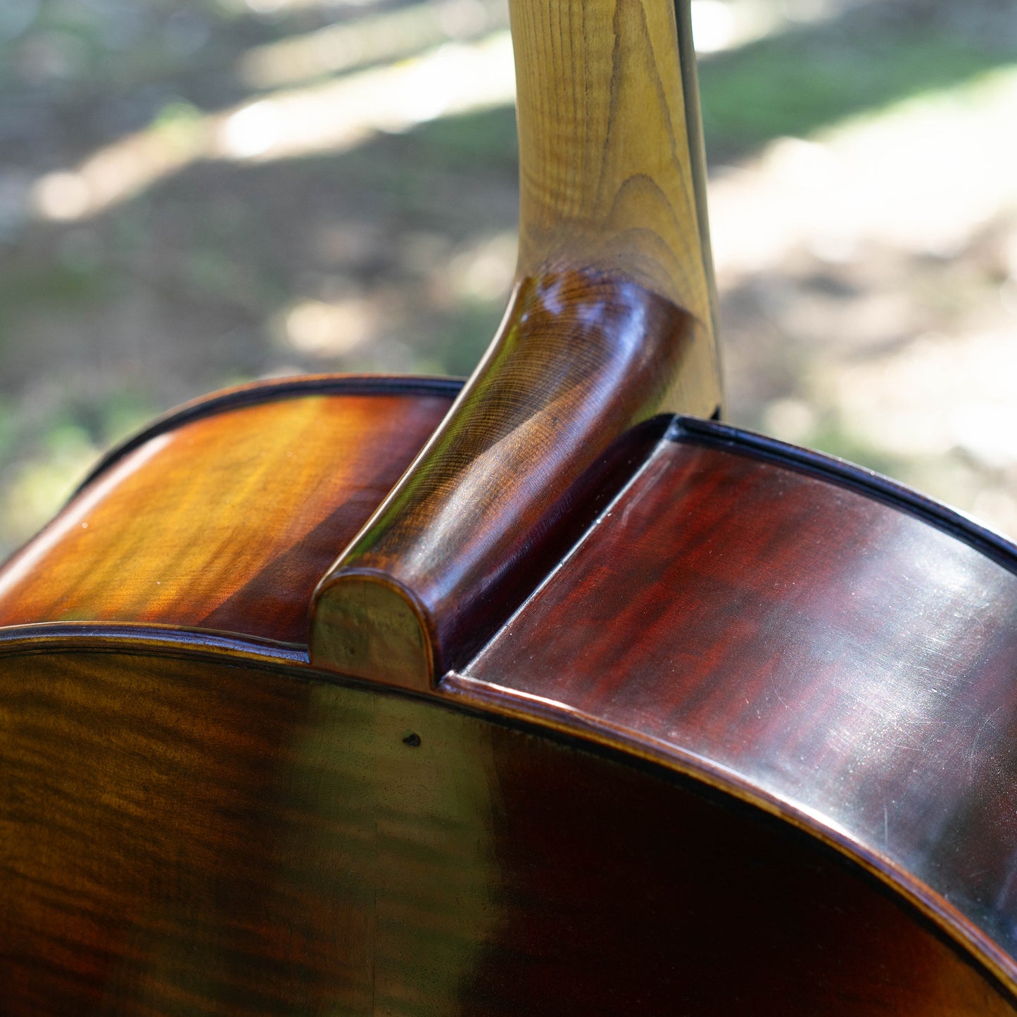 Violonchelo Mod. Guarneri / reservado