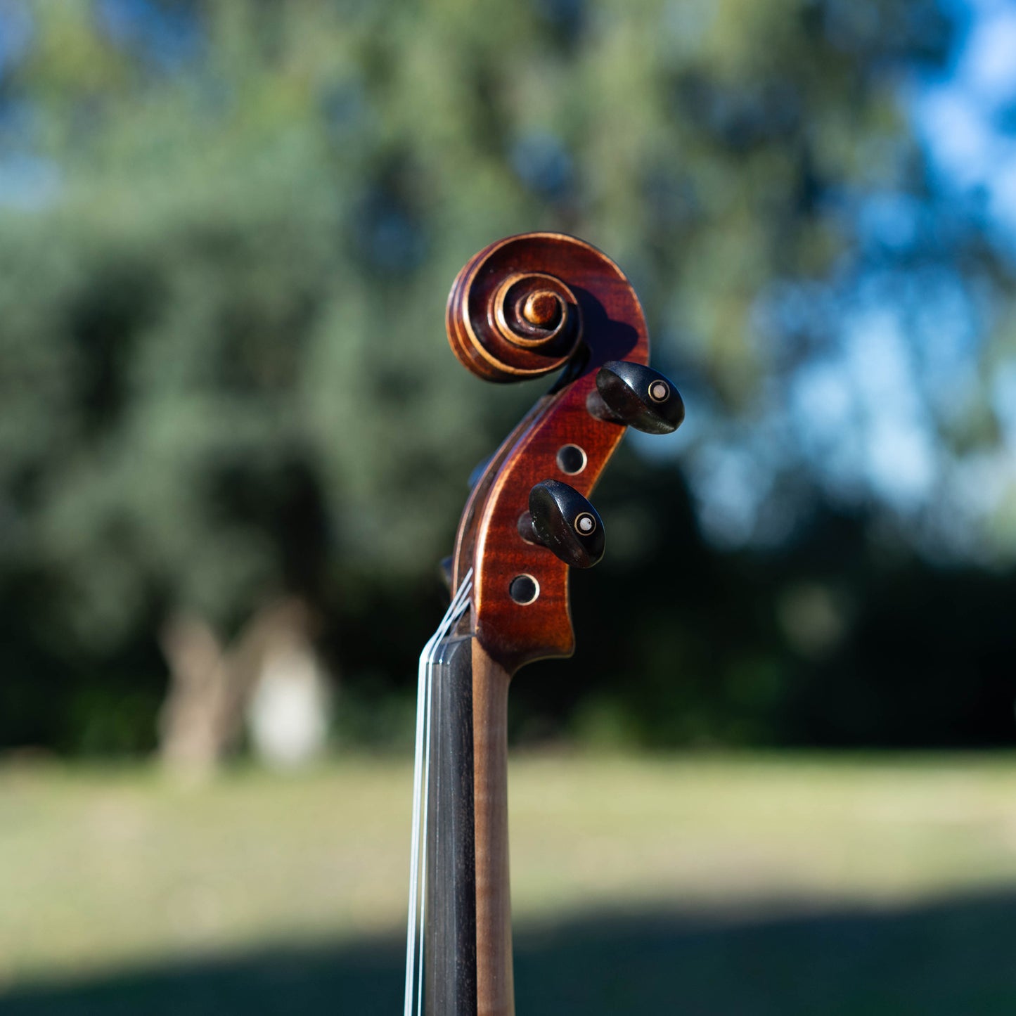 Violín de iniciación