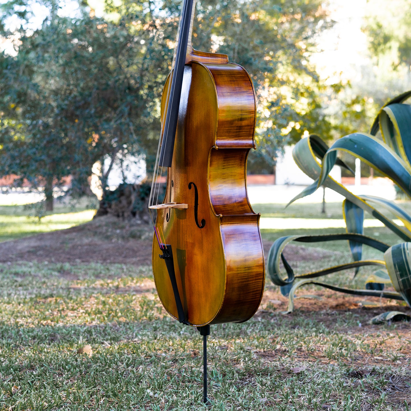 Violonchelo Mod. Gofriller / disponible