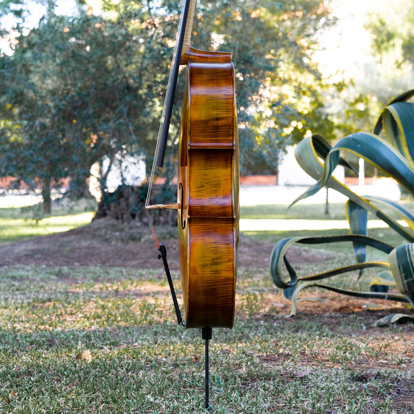 Violonchelo Mod. Gofriller / disponible