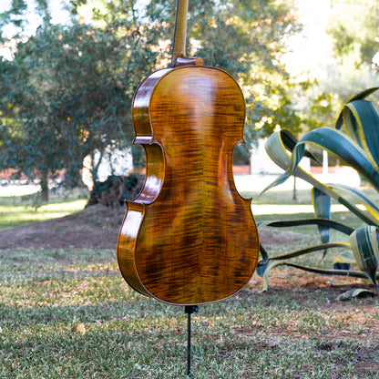 Violonchelo Mod. Gofriller / disponible