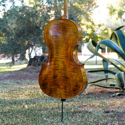 Violonchelo Mod. Gofriller / disponible