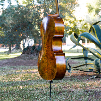 Violonchelo Mod. Gofriller / disponible