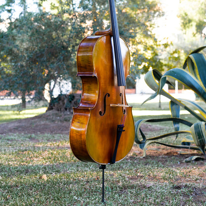 Violonchelo Mod. Gofriller / disponible