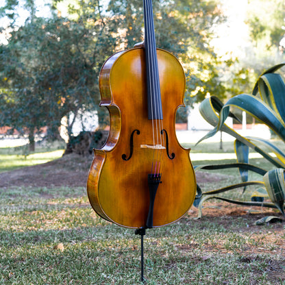 Violonchelo Mod. Gofriller / disponible