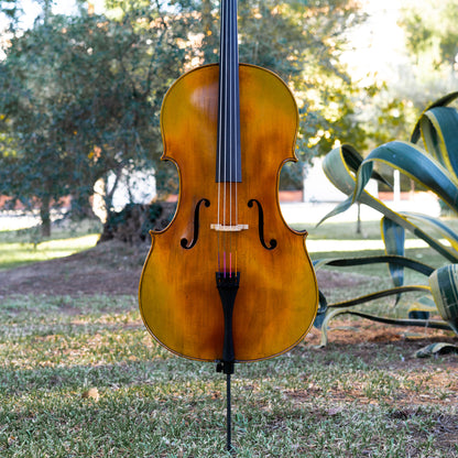 Violonchelo Mod. Gofriller / disponible