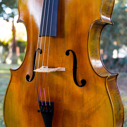 Violonchelo Mod. Gofriller / disponible