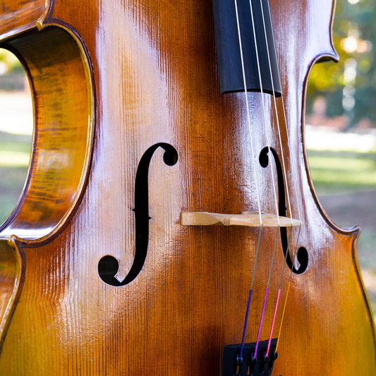 Gofriller Model Cello / available