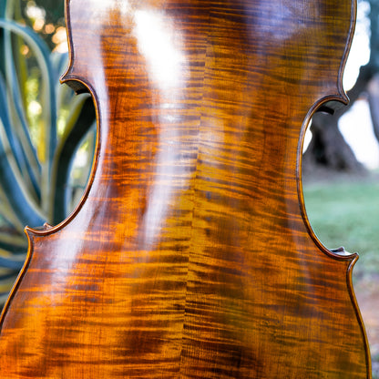 Violonchelo Mod. Gofriller / disponible