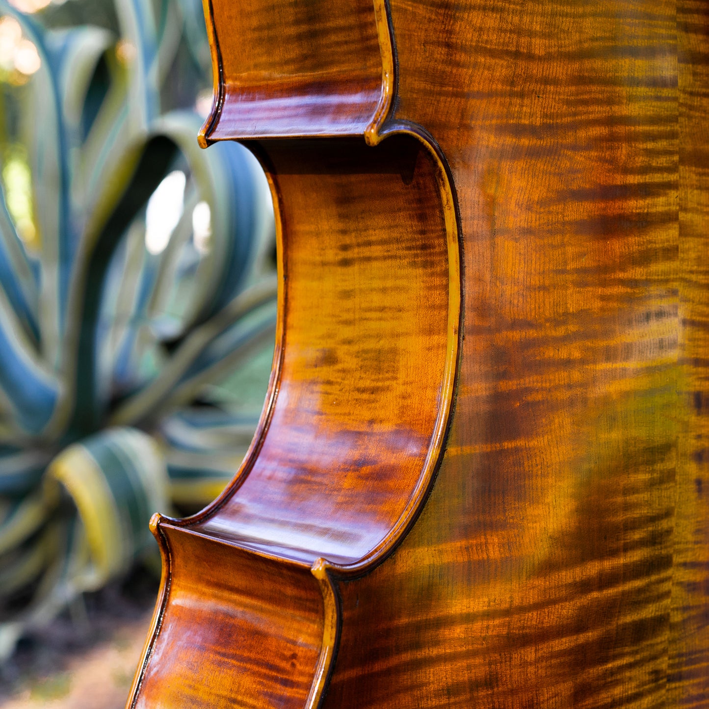 Violonchelo Mod. Gofriller / disponible