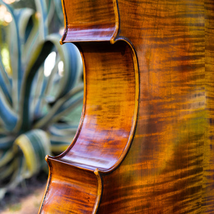 Violonchelo Mod. Gofriller / disponible