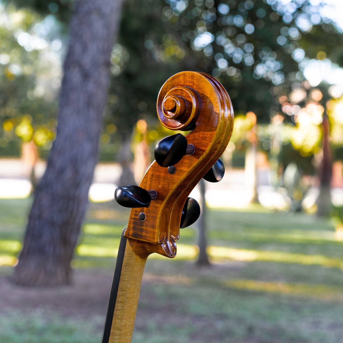 Violonchelo Mod. Gofriller / disponible