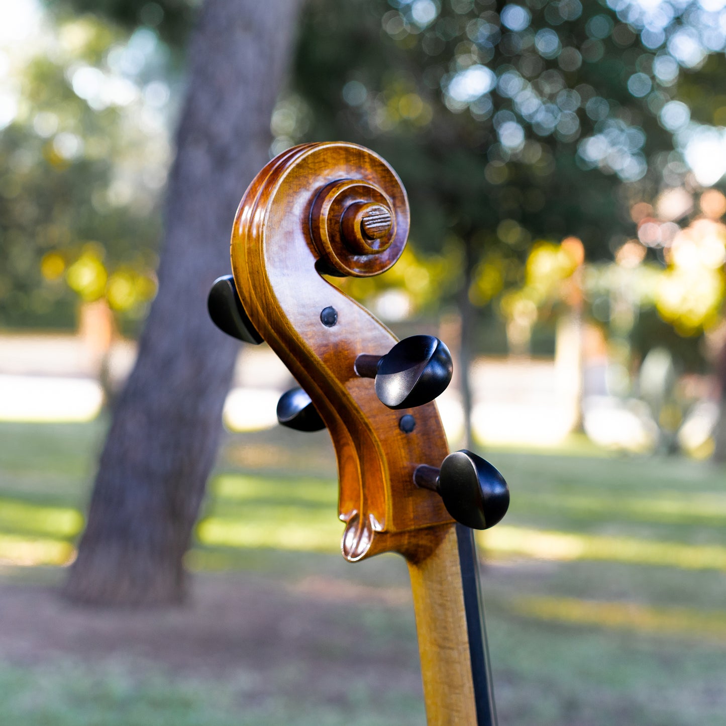 Violonchelo Mod. Gofriller / disponible