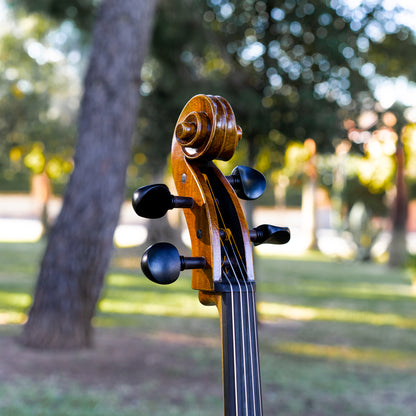 Violonchelo Mod. Gofriller / disponible