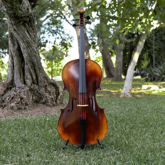 Violonchelo Mod. Guarneri / reservado