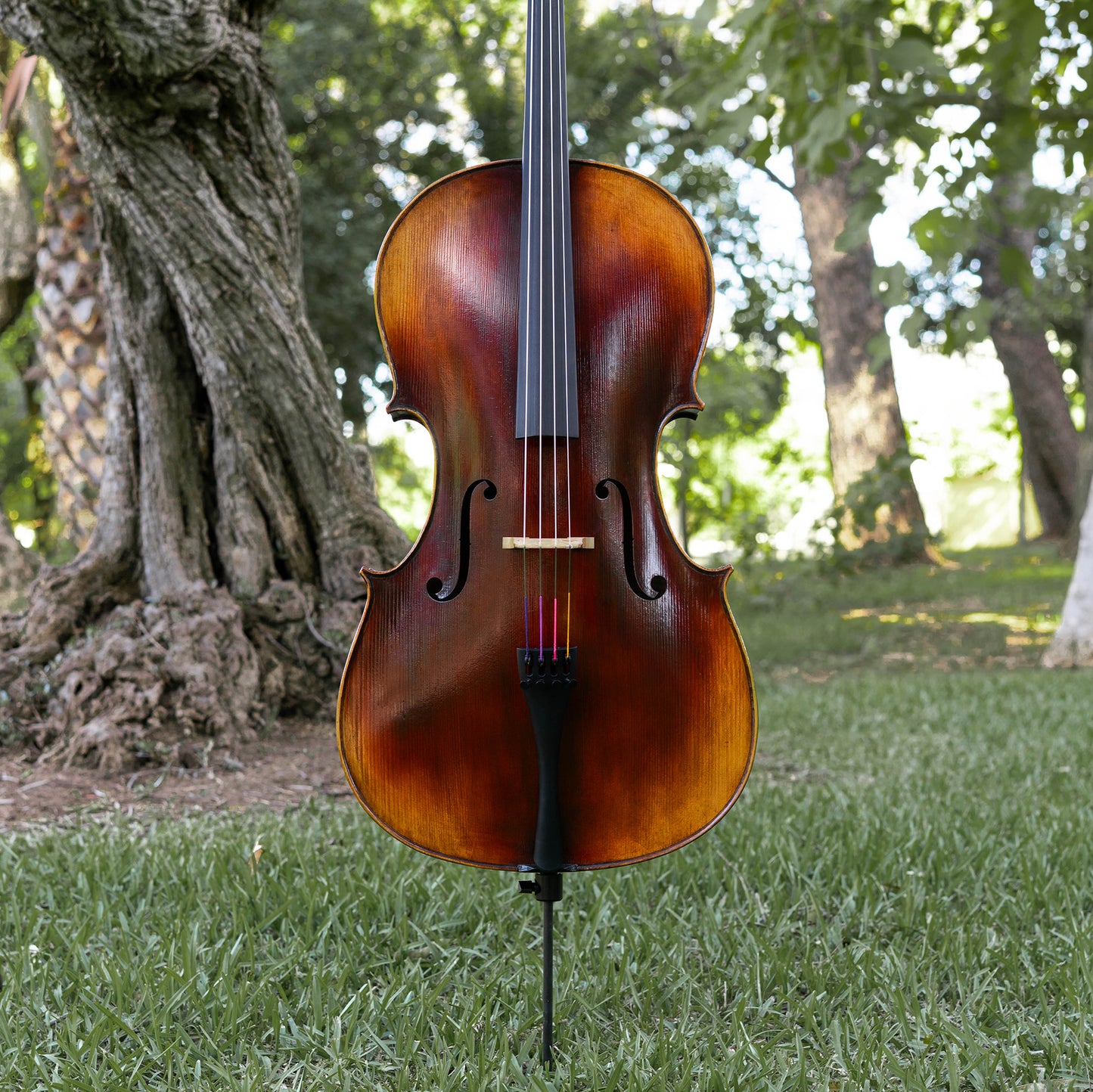 Violonchelo Mod. Guarneri / reservado