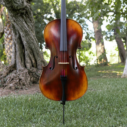 Violonchelo Mod. Guarneri / reservado