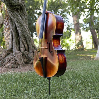 Violonchelo Mod. Guarneri / reservado