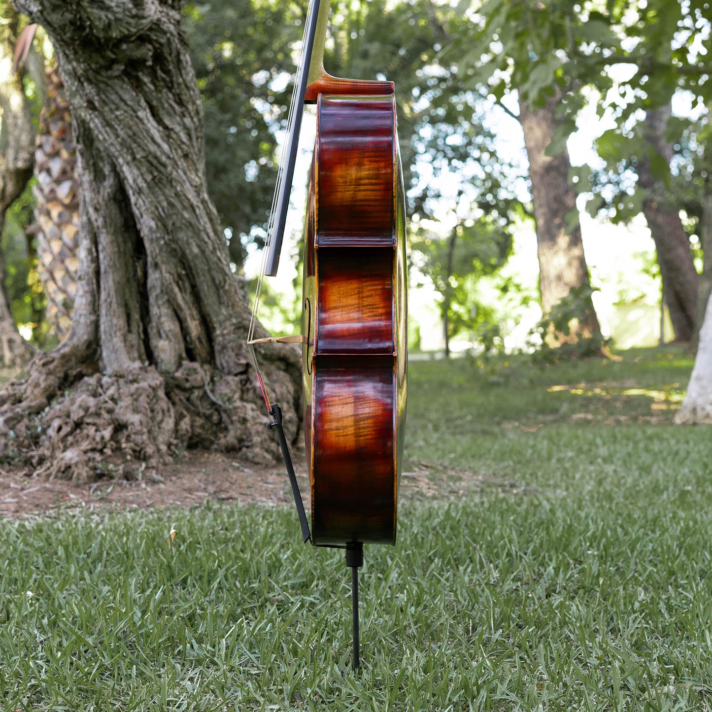 Violonchelo Mod. Guarneri / reservado