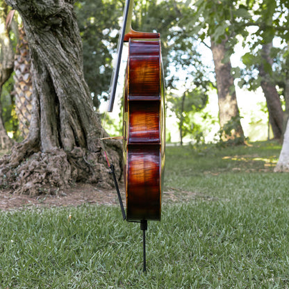 Violonchelo Mod. Guarneri / reservado