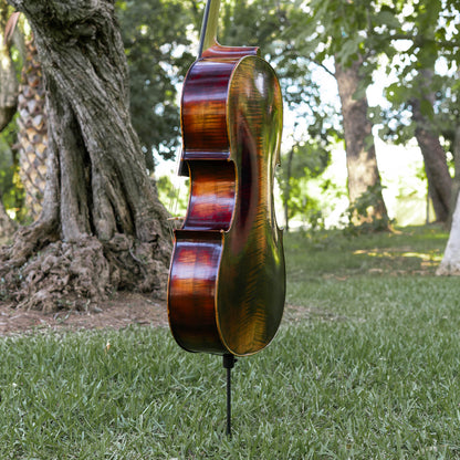 Violonchelo Mod. Guarneri / reservado