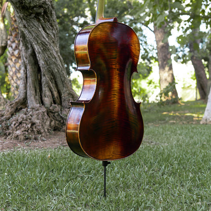 Violonchelo Mod. Guarneri / reservado