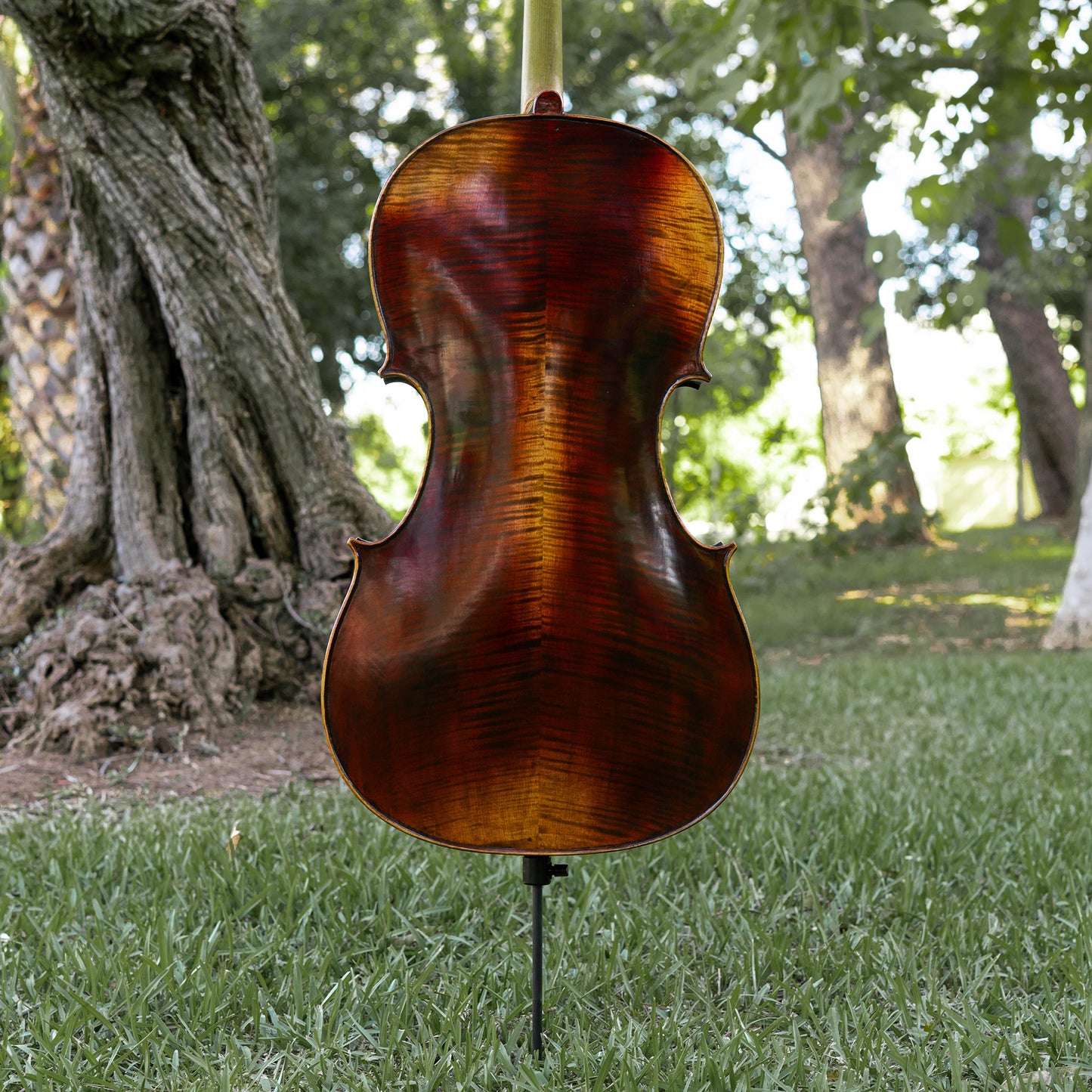 Violonchelo Mod. Guarneri / reservado