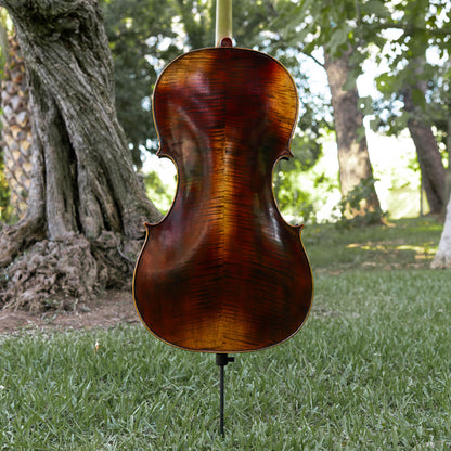 Violonchelo Mod. Guarneri / reservado