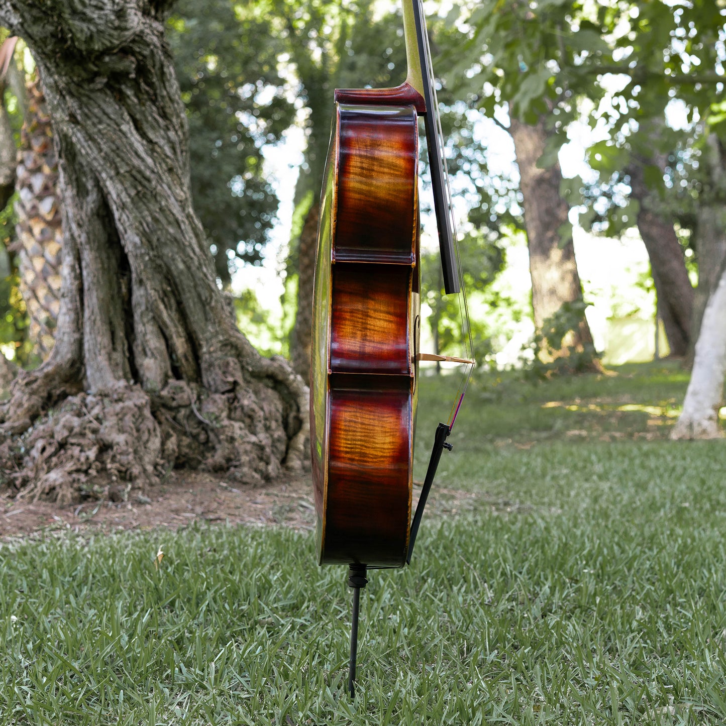 Violonchelo Mod. Guarneri / reservado