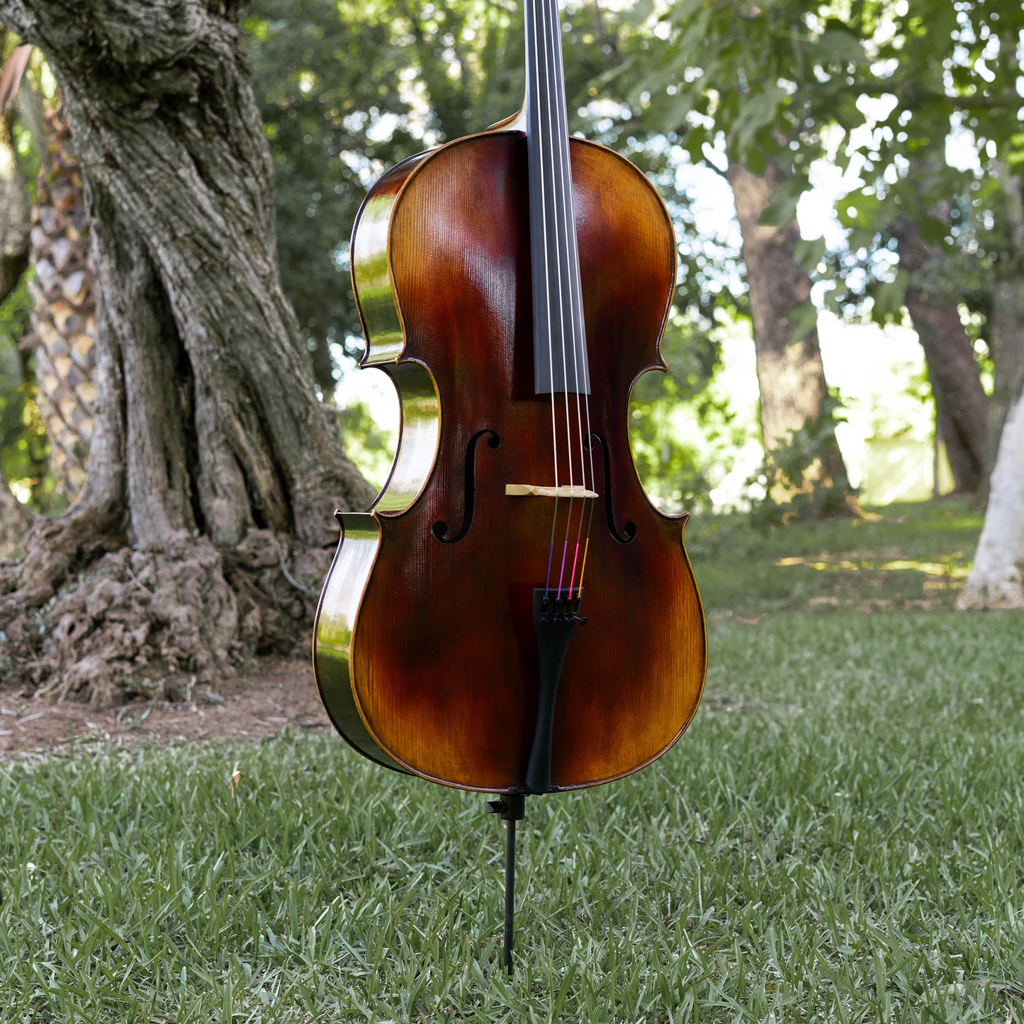 Violonchelo Mod. Guarneri / reservado