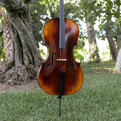 Violonchelo Mod. Guarneri / reservado