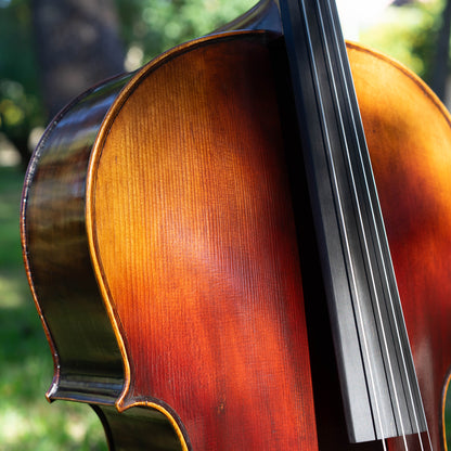 Violonchelo Mod. Guarneri / reservado