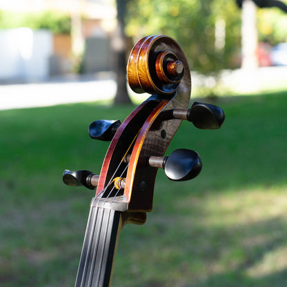 Violonchelo Mod. Guarneri / reservado