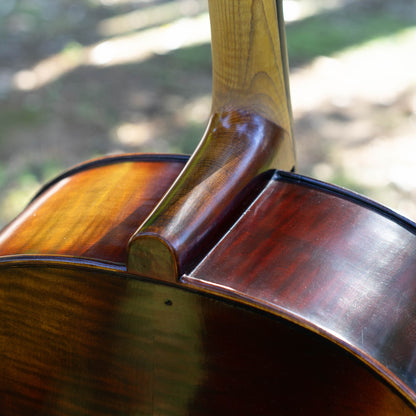 Violonchelo Mod. Guarneri / reservado