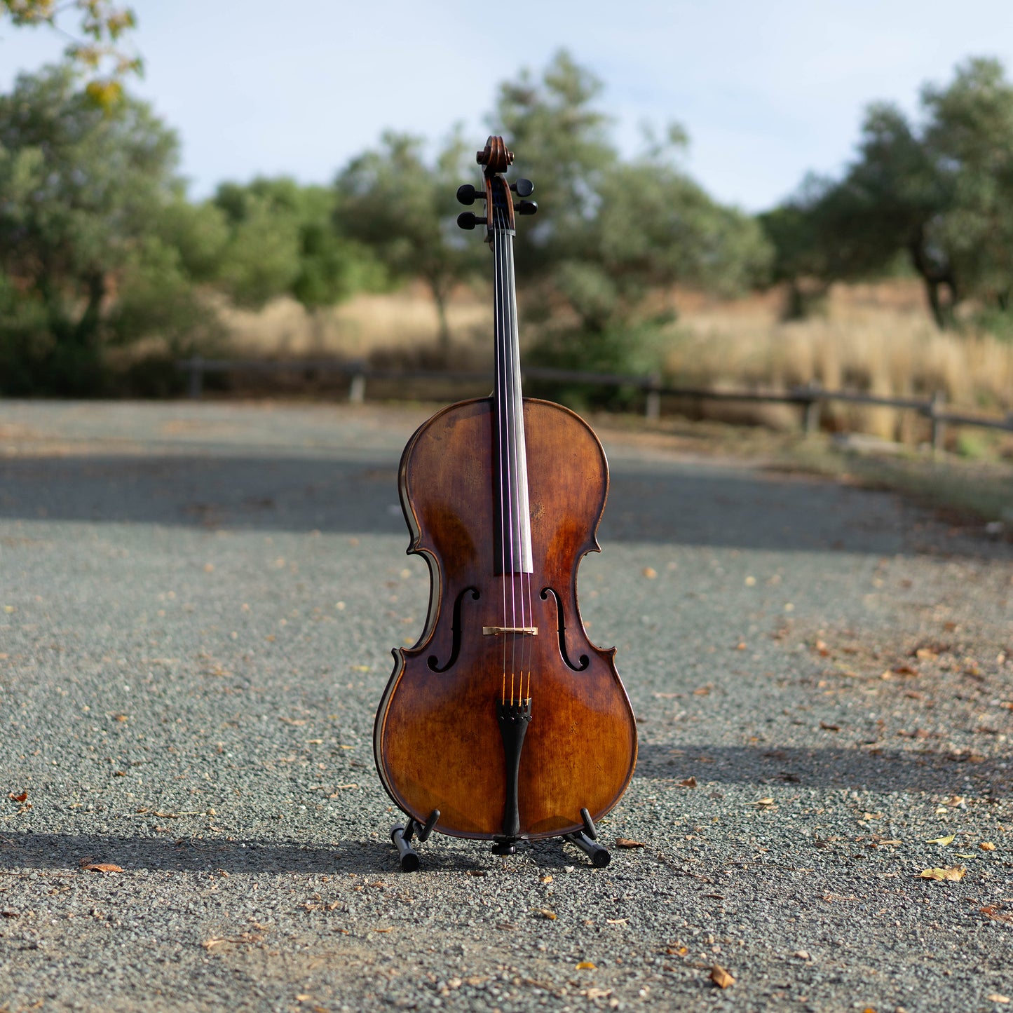 Violonchelo Mod. Stradivari / disponible