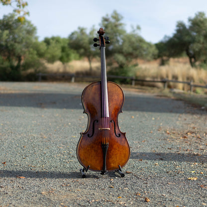 Violonchelo Mod. Stradivari / disponible