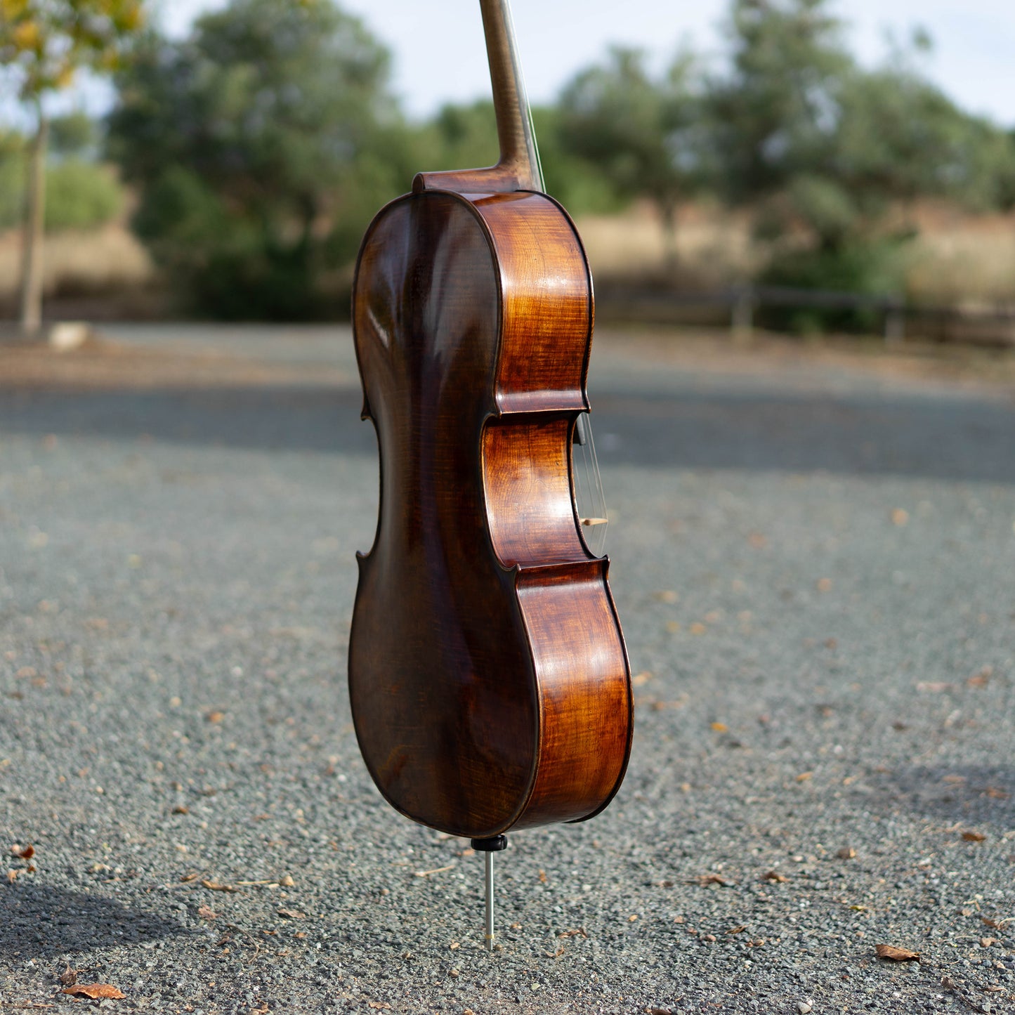 Violonchelo Mod. Stradivari / disponible