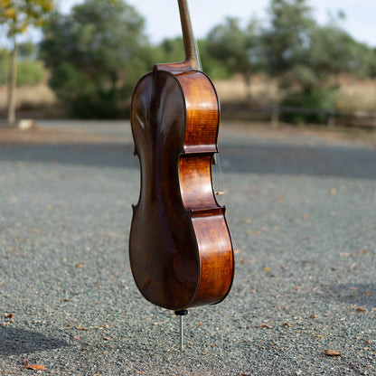 Violonchelo Mod. Stradivari / disponible