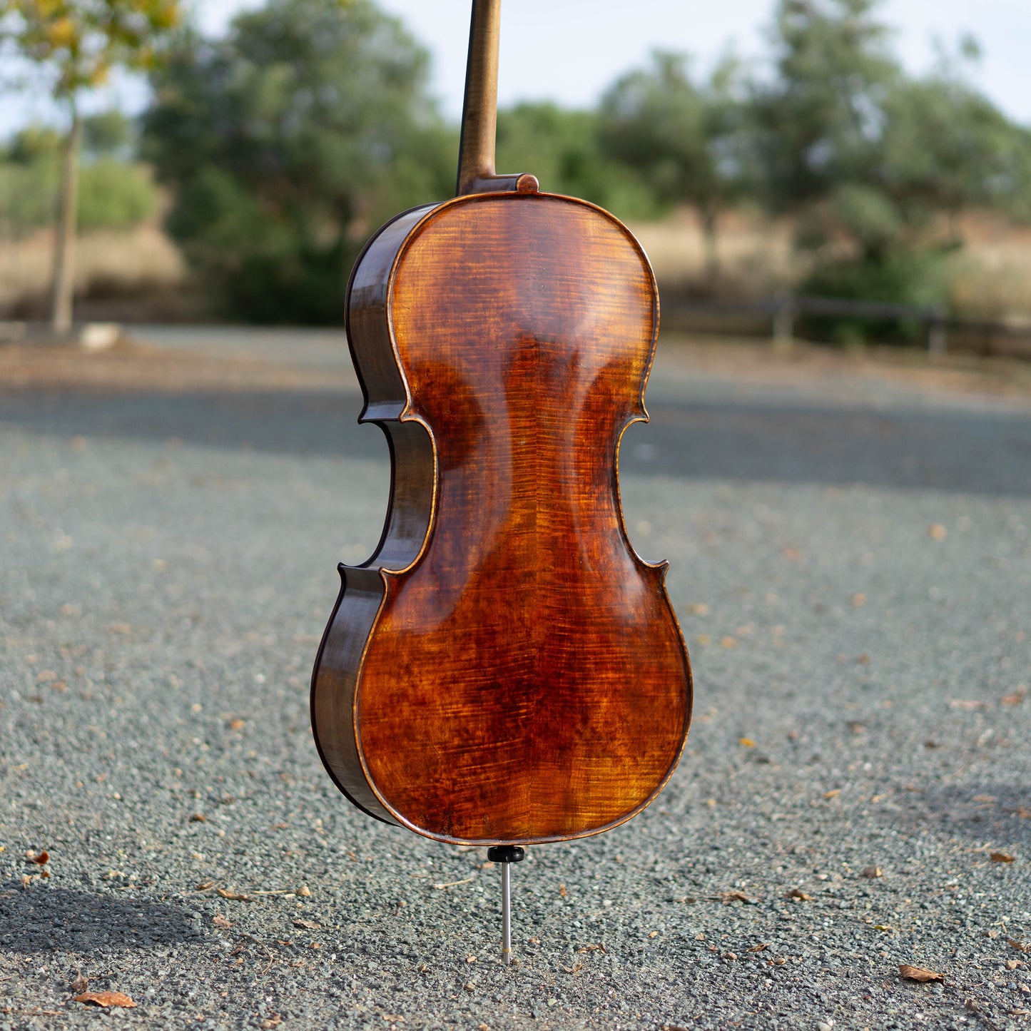 Violonchelo Mod. Stradivari / disponible