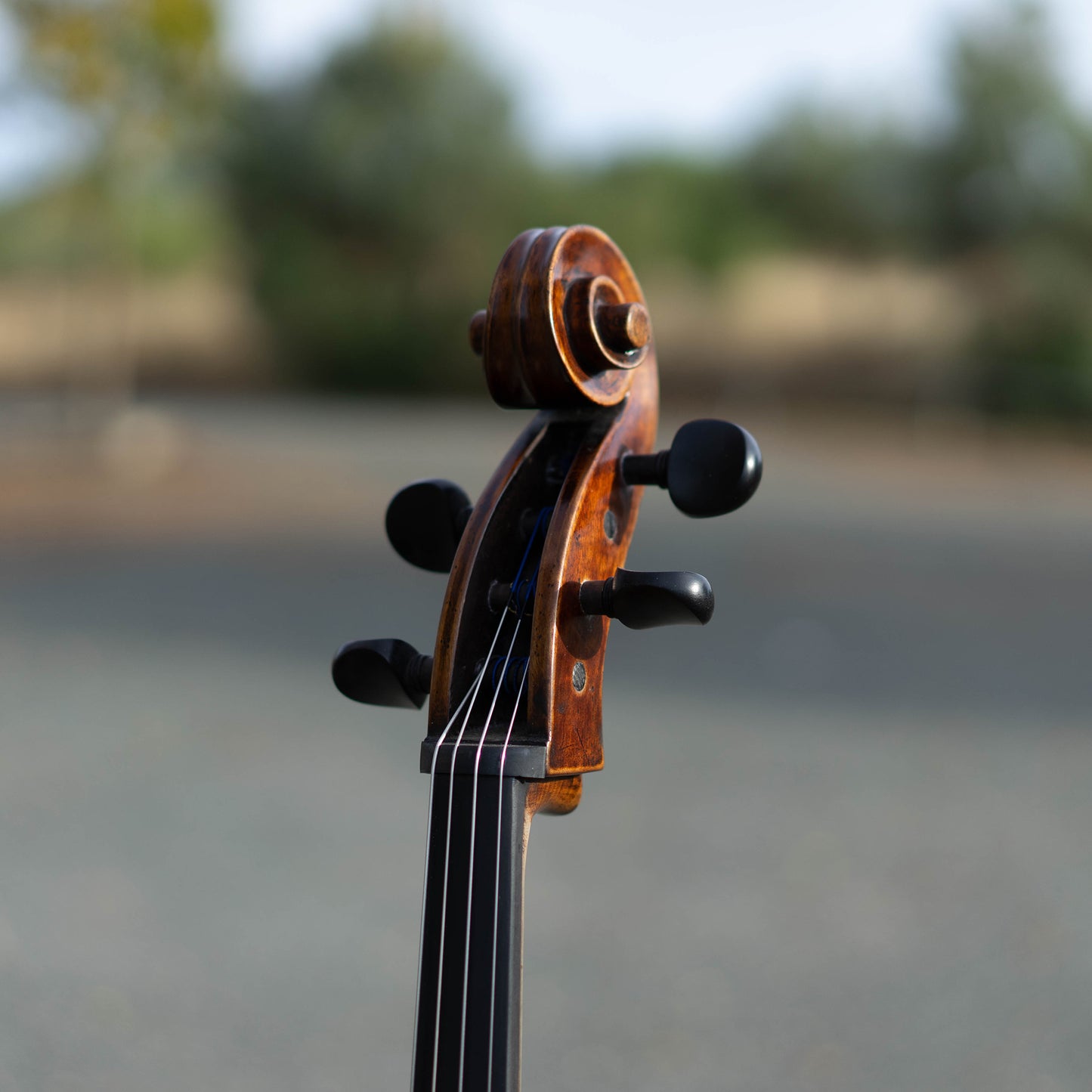 Violonchelo Mod. Stradivari / disponible