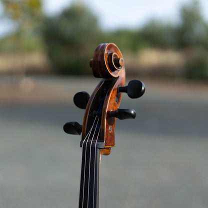 Violonchelo Mod. Stradivari / disponible