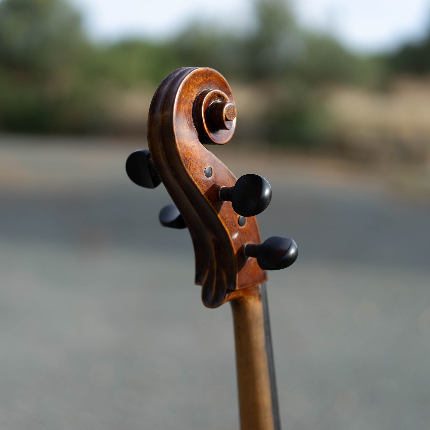 Violonchelo Mod. Stradivari / disponible