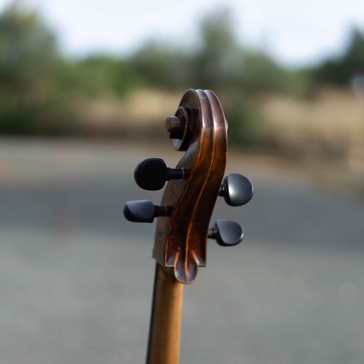 Violonchelo Mod. Stradivari / disponible