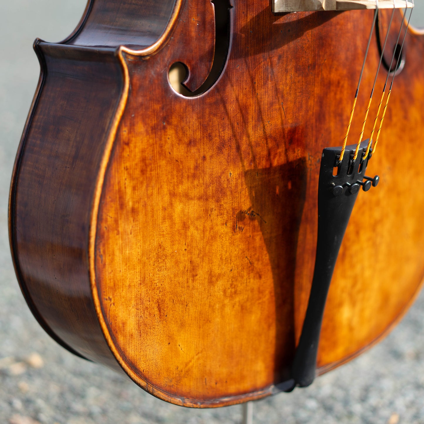 Violonchelo Mod. Stradivari / disponible