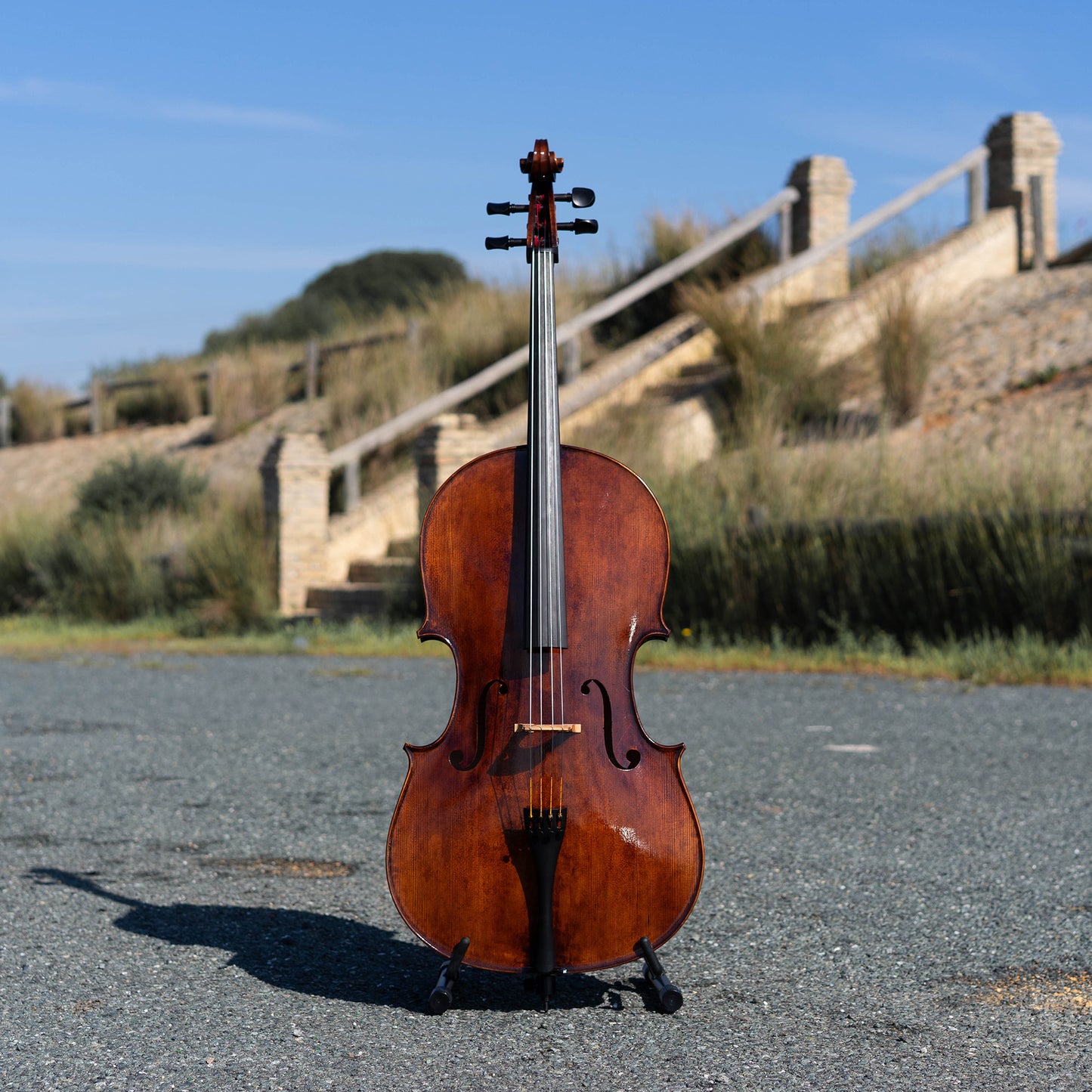 Violonchelo Montagnana / disponible