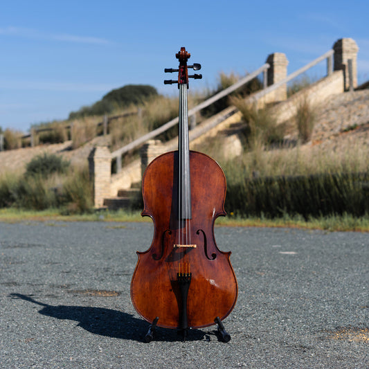Violonchelo Montagnana / disponible