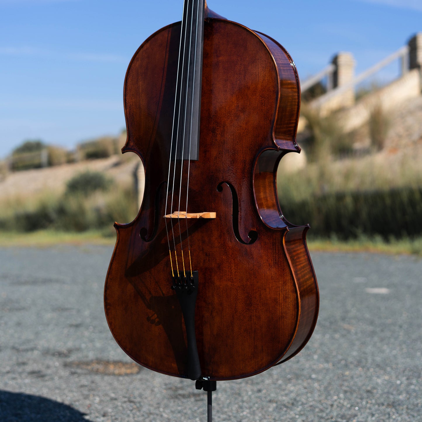Violonchelo Montagnana / disponible