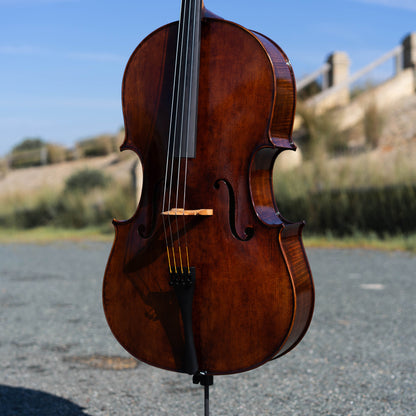 Violonchelo Montagnana / disponible